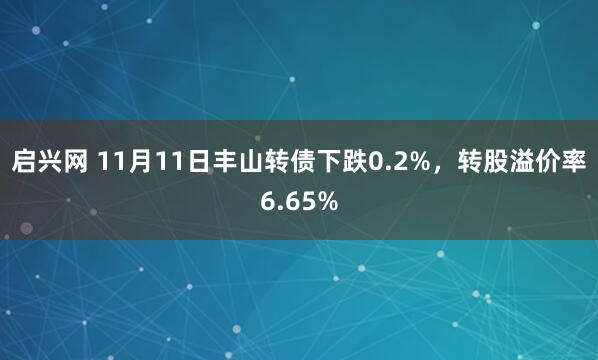 启兴网 11月11日丰山转债下跌0.2%，转股溢价率6.65%