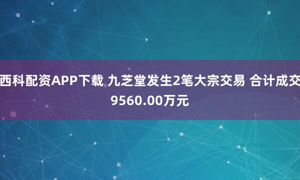 西科配资APP下载 九芝堂发生2笔大宗交易 合计成交9560.00万元