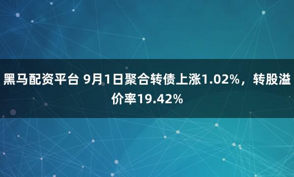 黑马配资平台 9月1日聚合转债上涨1.02%，转股溢价率19.42%
